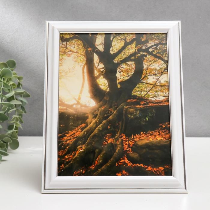 Фоторамка 15х20 281S белая с серебром (пластиковый экран) Фоторамка 15х20 281S белая с серебром (пластиковый экран)