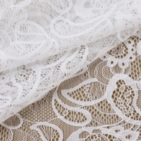 Кружевная эластичная ткань, 230 мм &times; 23 &plusmn; 1 м, цвет белый