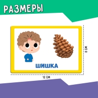 Развивающий набор &laquo;Омонимы&raquo;