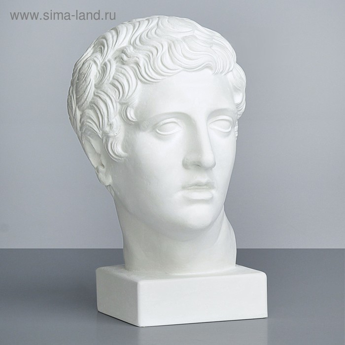 Гипсовая фигура Голова Дискобола, 21 х 23 х 34 см