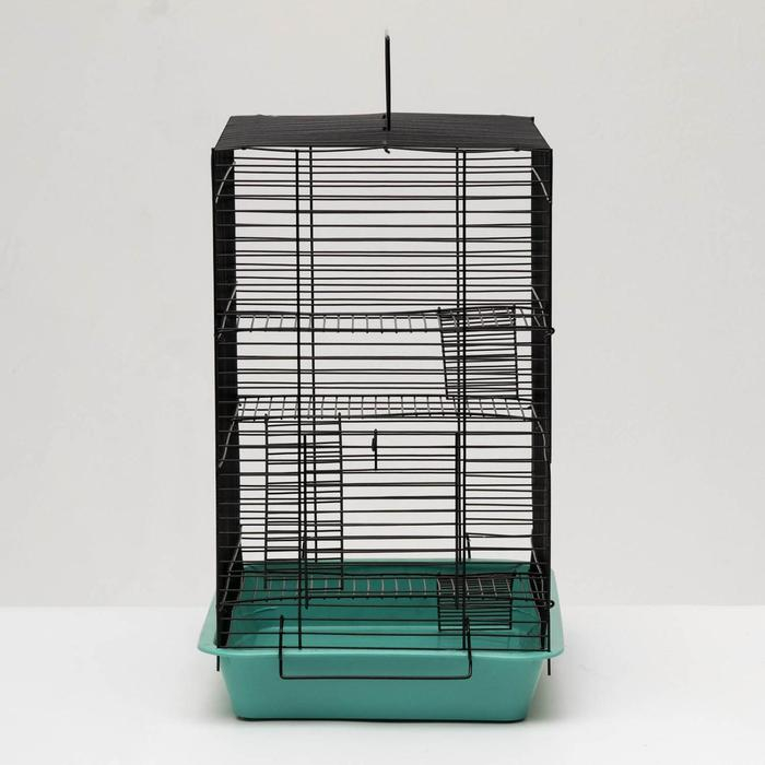 Клетка для грызунов Клетка для грызунов "Пижон" №9, с 3-я этажами, без наполнения, 33 х 24 х 38 см, бирюзовая