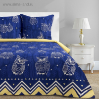 Постельное бельё "Этель" евро Ушастые совы (вид 3) 200 х 217 см, 220 х 240 см, 70 х 70 - 2 шт Постельное бельё "Этель" евро Ушастые совы (вид 3) 200 х 217 см, 220 х 240 см, 70 х 70 - 2 шт