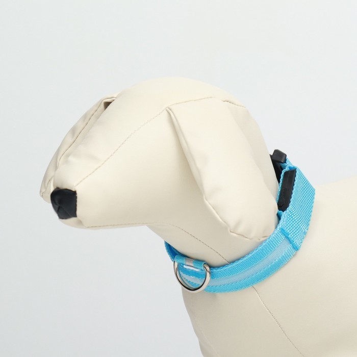 Ошейник с подсветкой, зарядка от USB, размер XS, ОШ 28-38 см, 3 режима, голубой Ошейник с подсветкой, зарядка от USB, размер XS, ОШ 28-38 см, 3 режима, голубой