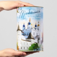 Копилка XXL &laquo;Тобольск&raquo;, 20 х 12,5 см