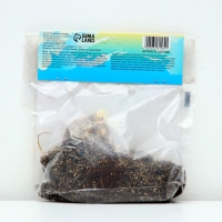 Лилия Многоцветная "Пиетон", р-р 12/14, 3 шт, Лилия Многоцветная "Пиетон", р-р 12/14, 3 шт,