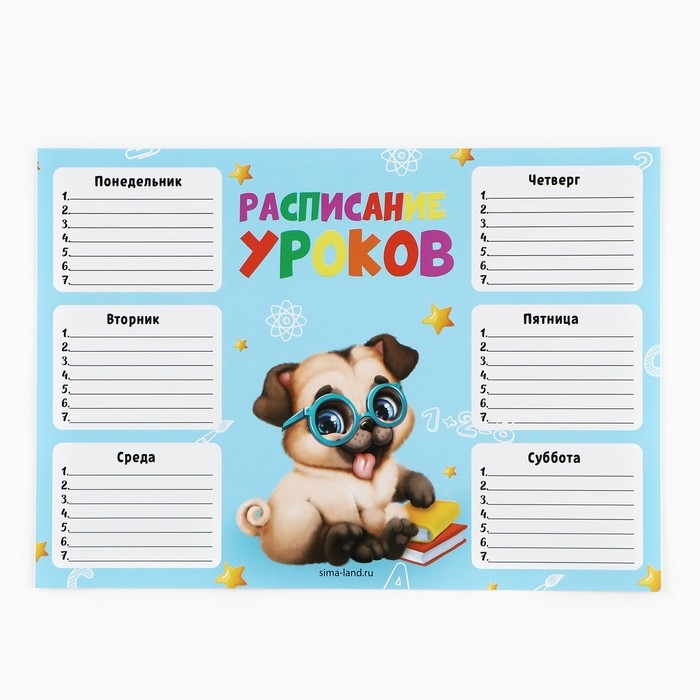 Подарочный набор на выпускной в папке 7 предметов «Выпускник детского сада» Подарочный набор на выпускной в папке 7 предметов «Выпускник детского сада»