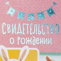 Свидетельство о рождении "Кролик" тиснение, розовый тон, А4 Свидетельство о рождении "Кролик" тиснение, розовый тон, А4