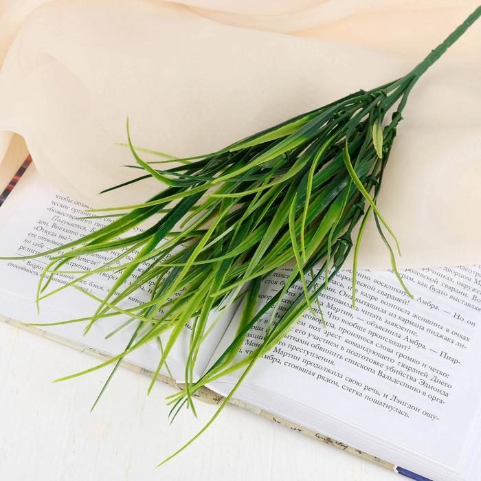 Букет Букет "Осока" 30 см