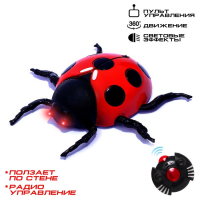 Жук на радиоуправлении &laquo;Божья коровка&raquo;, ползает по стене
