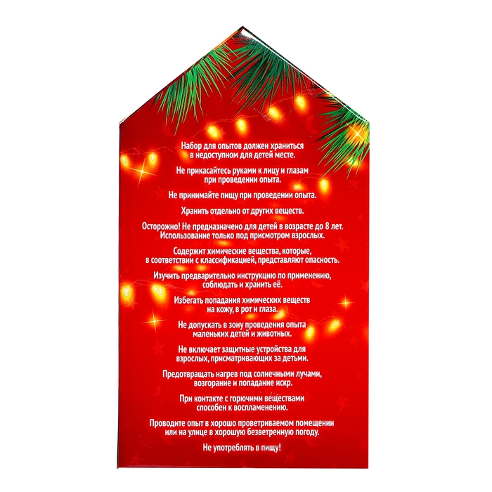 Набор для опытов &laquo;Снежный ночник: Пёсик&raquo;, своими руками