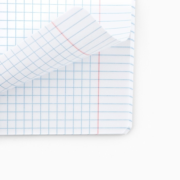 Тетрадь в клетку, 48 листов А5 на скрепке , внутренний блок №1 МИКС &laquo;1 сентября: Мотивационные&raquo; Мат. лам, тиснение