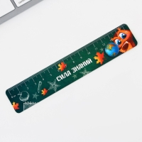 Подарочный набор на выпускной &laquo;Удачи тебе, выпускник!&raquo; 5 предметов