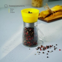 Мельница для специй Доляна «Модерн», 180 мл, 6,5×13 см, цвет жёлтый Мельница для специй Доляна «Модерн», 180 мл, 6,5×13 см, цвет жёлтый