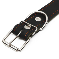 Ошейник комбинированный кожа/брезент, безразмерный, 70 х 3,5 см, ОШ 25-60 см, чёрный Ошейник комбинированный кожа/брезент, безразмерный, 70 х 3,5 см, ОШ 25-60 см, чёрный