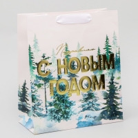 Пакет подарочный новогодний ламинированный вертикальный, конгревное тиснение «С Новым годом», ML 23 х 27 х 11.5 см, Новый год Пакет подарочный новогодний ламинированный вертикальный, конгревное тиснение «С Новым годом», ML 23 х 27 х 11.5 см, Новый год