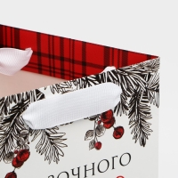 Пакеты под бутылку «Сказочного Нового года», 13 х 32 х 11,3 см , Новый год Пакеты под бутылку «Сказочного Нового года», 13 х 32 х 11,3 см , Новый год