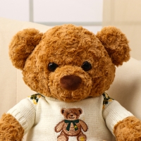 Мягкая игрушка &laquo;Медведь&raquo;, в кофте, 50 см, цвет коричневый