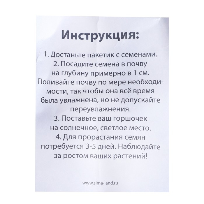 Набор для опытов «Выращиваем травку», зайка Набор для опытов «Выращиваем травку», зайка