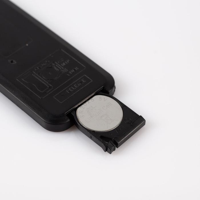 Световой прибор &laquo;Звёздное небо&raquo; 5 см, лазер, динамик, пульт ДУ, свечение мульти, 5 В