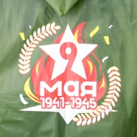 Карнавальный набор &laquo;Мы помним, мы гордимся!&raquo;, р. 42&ndash;54, дождевик, флажок