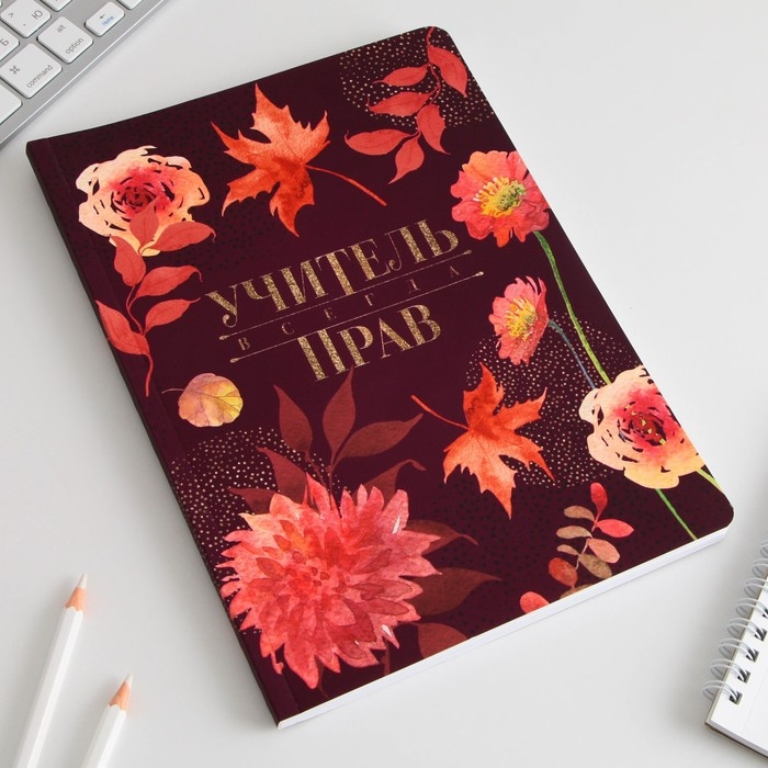 Большой ежедневник &laquo;Учителю: Учитель всегда прав&raquo; soft-touch, формат А5+, 96 листов, мягкая обложка, линейка