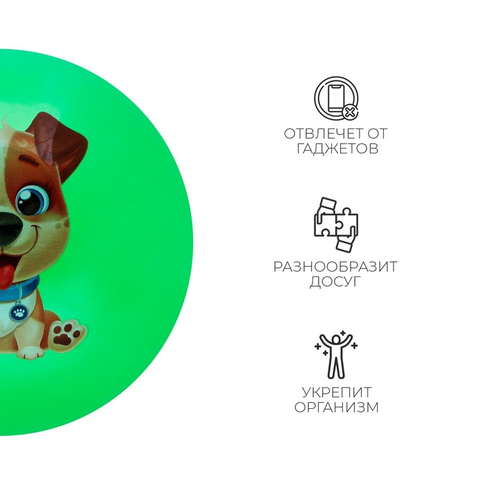 Мяч детский ZABIAKA «Пёсик», d=22 см, цвет МИКС Мяч детский ZABIAKA «Пёсик», d=22 см, цвет МИКС