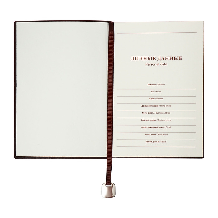 Органайзер на кольцах, А5, 116л, клетка, обл.кожзам, коричневый срез, Черный Органайзер на кольцах, А5, 116л, клетка, обл.кожзам, коричневый срез, Черный