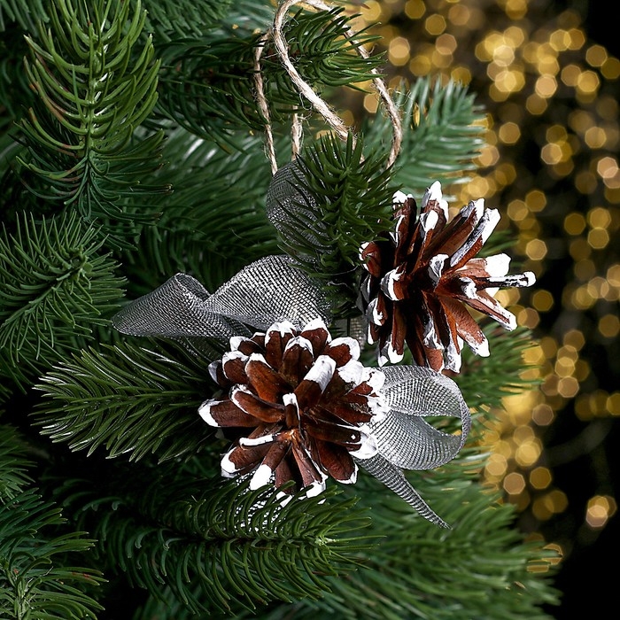 Новогодняя подвеска &laquo;Шишка и веточка&raquo; набор 2 шт.