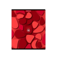 Тетрадь 48 листов в клетку, ErichKrause Color Stones, обложка мелованный картон, УФ-лак, блок офсет 100% белизна, МИКС (1 вид в спайке) Тетрадь 48 листов в клетку, ErichKrause Color Stones, обложка мелованный картон, УФ-лак, блок офсет 100% белизна, МИКС (1 вид в спайке)