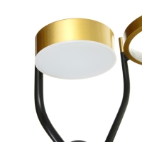 Бра 2292/2 LED 30Вт 3000-6000К черно-золотой 34х33х20,5 см