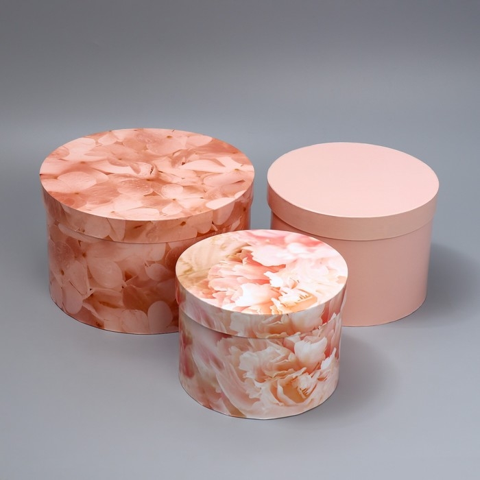 Набор шляпных коробок 3 в 1, упаковка подарочная, «Бежевый», 18 х 18 х 13‒25 х 25 х 15 см Набор шляпных коробок 3 в 1, упаковка подарочная, «Бежевый», 18 х 18 х 13‒25 х 25 х 15 см