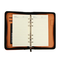 Органайзер на кольцах А6, 96 листов в линейку, на молнии с 3-х сторон, кожзам, МИКС