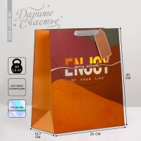 Пакет подарочный ламинированный, упаковка, &laquo;Счастье&raquo;, 25.4 х 30.5 х 12.7 см