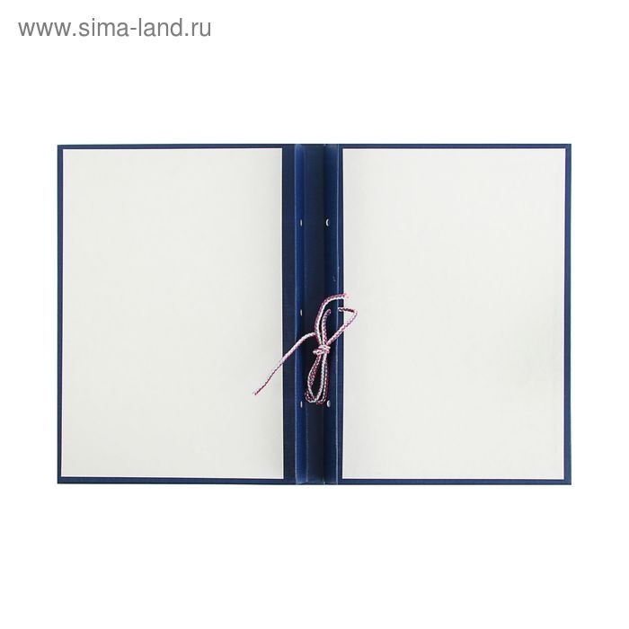 Папка Папка "Дипломная работа" А4, бумвинил, гребешки/сутаж, (без бумаги) синяя 10ДР01