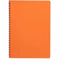 Ежедневник Spring Shall, недатированный, оранжевый Ежедневник Spring Shall, недатированный, оранжевый