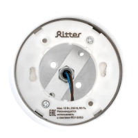 Светильник трек-й ARTLINE повор-й 85х70mm GX53 230В алюм/пласт 4м&sup2; черн 59862 0, Ritter