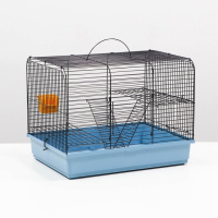 Клетка для грызунов "Сеня 2", 50 x 37 x 37 см, микс цветов Клетка для грызунов "Сеня 2", 50 x 37 x 37 см, микс цветов