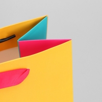 Пакет подарочный трёхцветный, упаковка, &laquo;Жёлтый-розовый-голубой&raquo;, MS 18 х 23 х 10 см