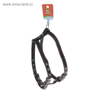 Шлейка кожаная "Прогулочная", 1,5 см, ОШ35-50 см, ОГ 60-68 см, чёрный Шлейка кожаная "Прогулочная", 1,5 см, ОШ35-50 см, ОГ 60-68 см, чёрный