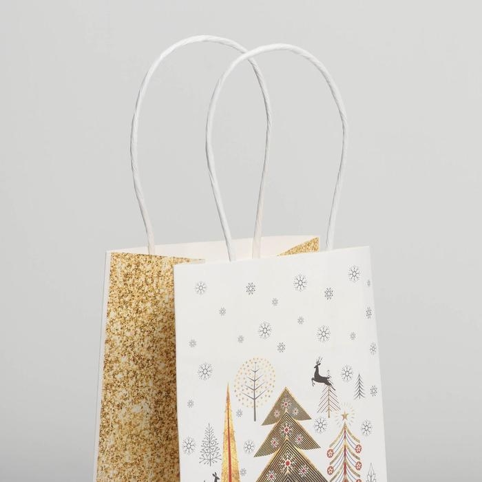 Пакет подарочный новогодний крафтовый &laquo;Сказка&raquo;, 12 х 21 х 9 см, Новый год