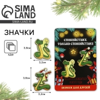 Значки новогодние &laquo;Новый год: две змейки&raquo;, набор, 2 шт