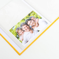 Фотоальбом на 200 фото 10х15 см "Золотой рисунок" МИКС 23х17,5х5 см Фотоальбом на 200 фото 10х15 см "Золотой рисунок" МИКС 23х17,5х5 см