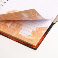 Записная книжка на замочке А6, 50 листов &laquo;Динозавр: Danger&raquo;