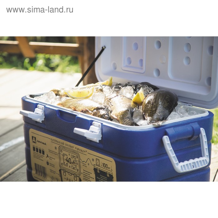 Термоконтейнер "Арктика" 8 л, 38 х 24.5 х 22 см, синий