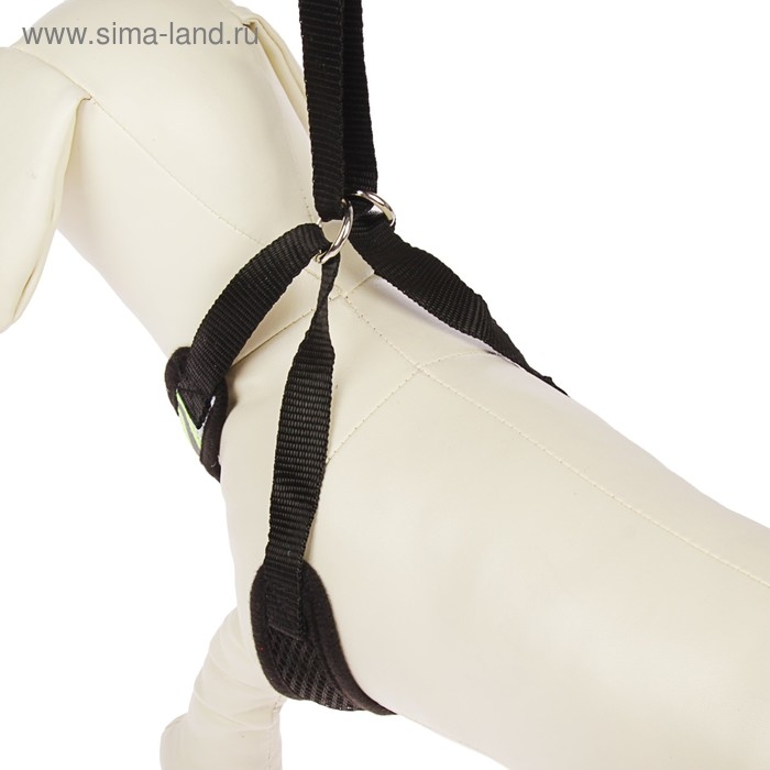 Шлейка регулируемая дышащая, светоотражающая, размер L, (ОГ 44-64 см, ОШ 40-60 см), чёрная Шлейка регулируемая дышащая, светоотражающая, размер L, (ОГ 44-64 см, ОШ 40-60 см), чёрная