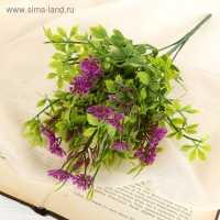 Букет "Алиссум с остролистом" 29 см, микс Букет "Алиссум с остролистом" 29 см, микс