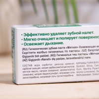 Зубная паста Весна Главаптека "Мятная", 90 г, в пенале Зубная паста Весна Главаптека "Мятная", 90 г, в пенале