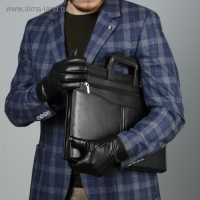 Папка для документов &laquo;Алекс&raquo;, А4, цвет чёрный