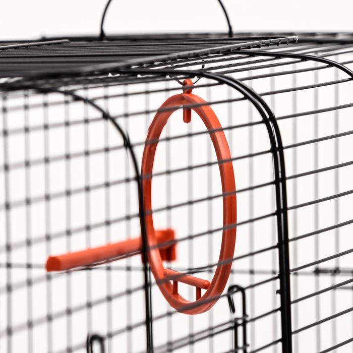 Клетка пролётная 2 яруса, 100 х 37 х 37 см, микс цветов