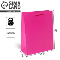 Пакет подарочный ламинированный, упаковка, &laquo;Фуксия&raquo;, MS 18 х 23 х 8 см